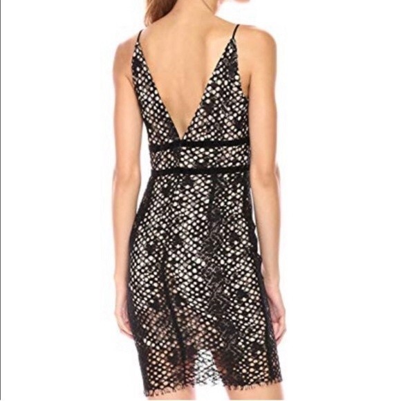 NWOT BARDOT | Serpentine Lace Deep V Neck Nude Black Mini Cocktail Dress 4 XS - Picture 2 of 9